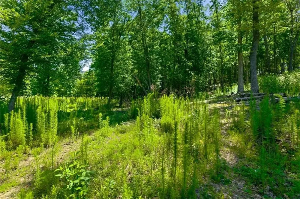 0 Williams Road SE Silver Creek, GA 30173