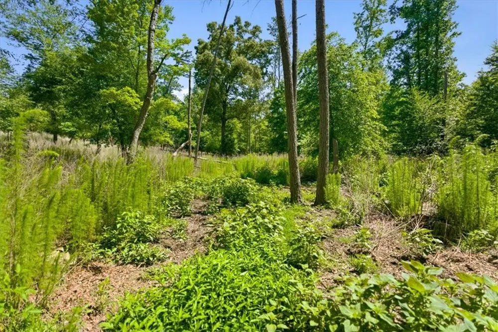 0 Williams Road SE Silver Creek, GA 30173