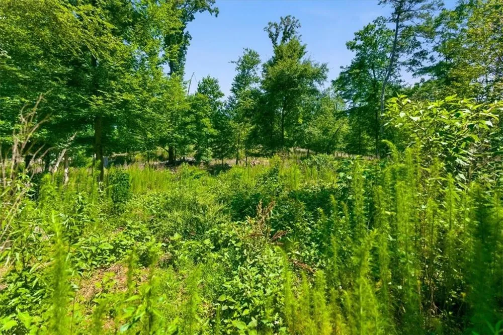 0 Williams Road SE Silver Creek, GA 30173
