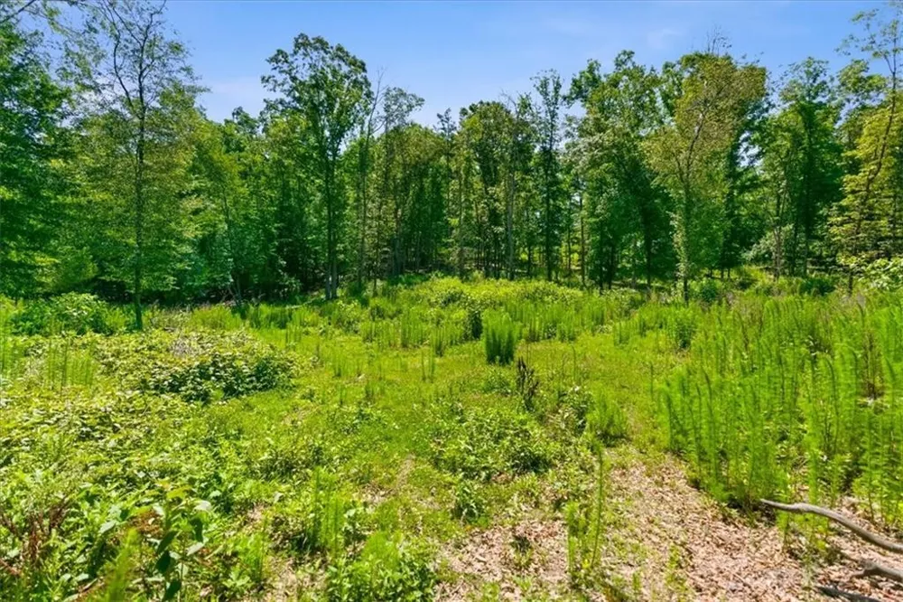 0 Williams Road SE Silver Creek, GA 30173