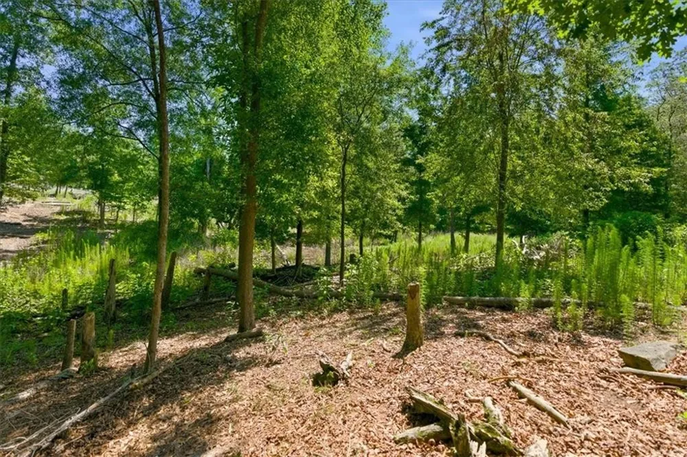 0 Williams Road SE Silver Creek, GA 30173