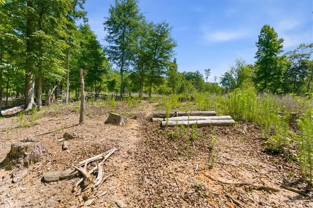 0 Williams Road SE Silver Creek, GA 30173