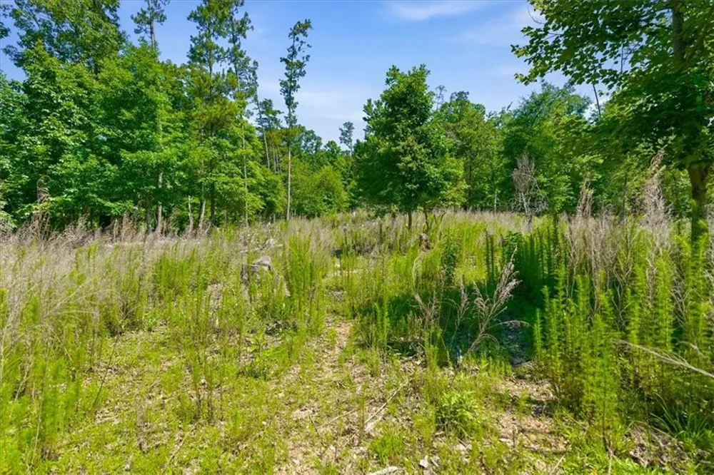 0 Williams Road SE Silver Creek, GA 30173