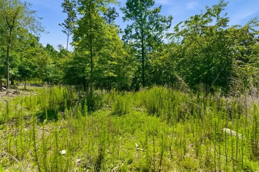 0 Williams Road SE Silver Creek, GA 30173