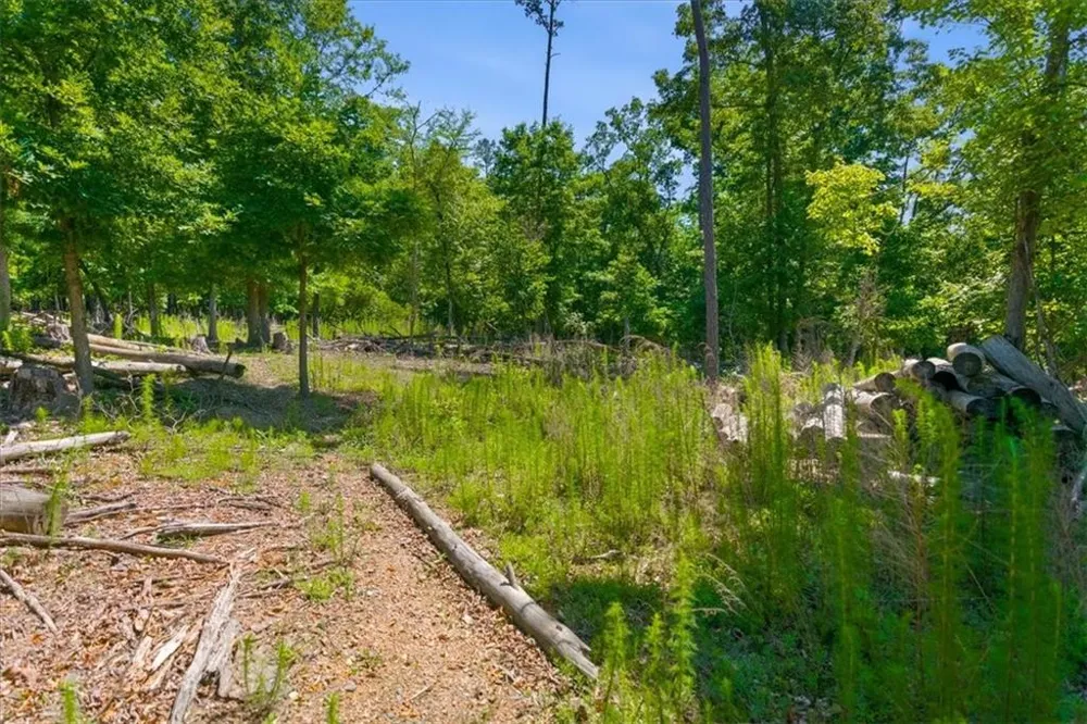 0 Williams Road SE Silver Creek, GA 30173