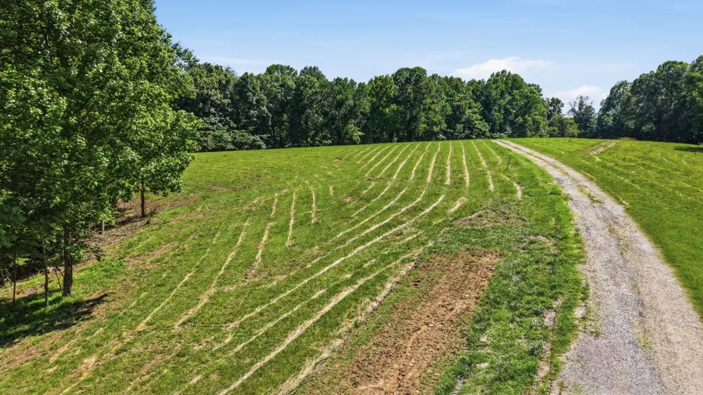 0 Ellis Ln Lynchburg, TN 37352