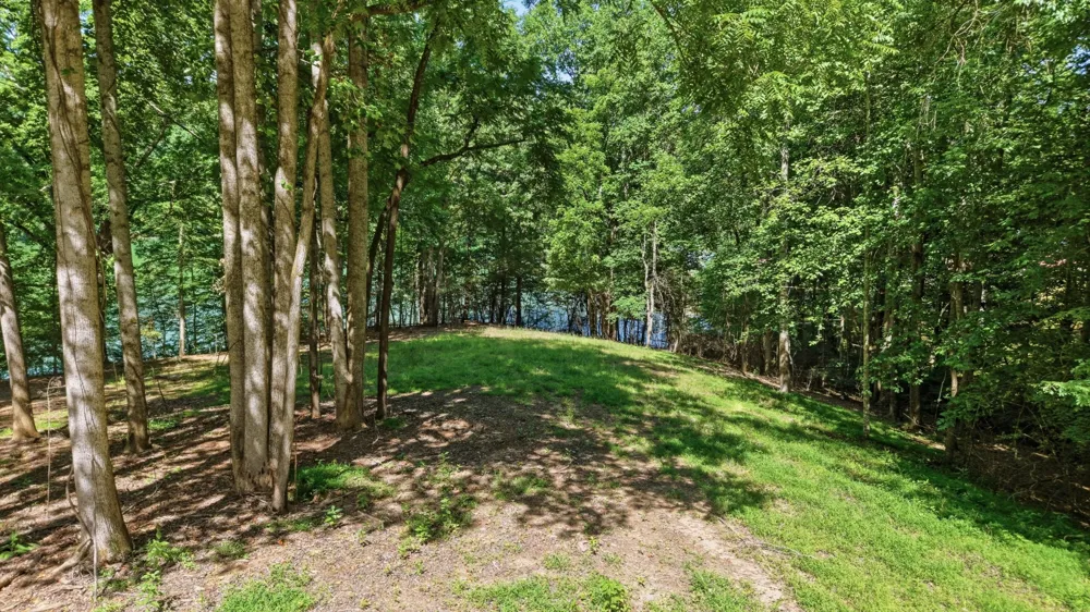 0 Ellis Ln Lynchburg, TN 37352
