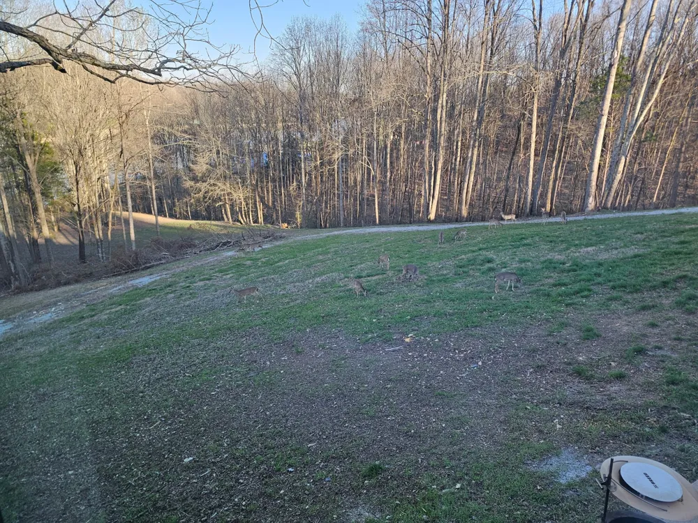 0 Ellis Ln Lynchburg, TN 37352