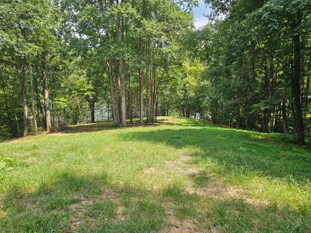 0 Ellis Ln Lynchburg, TN 37352