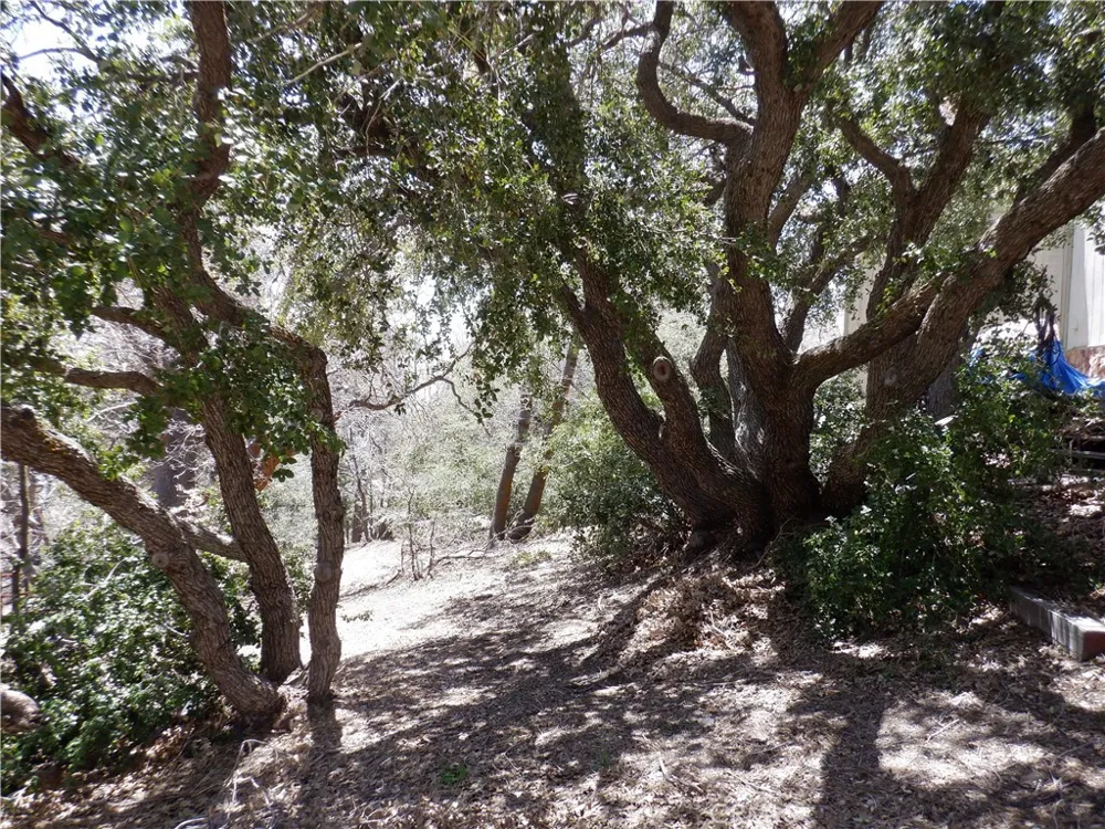 Holcomb Creek Green Valley Lake, CA 92341