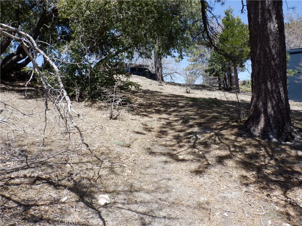 Holcomb Creek Green Valley Lake, CA 92341