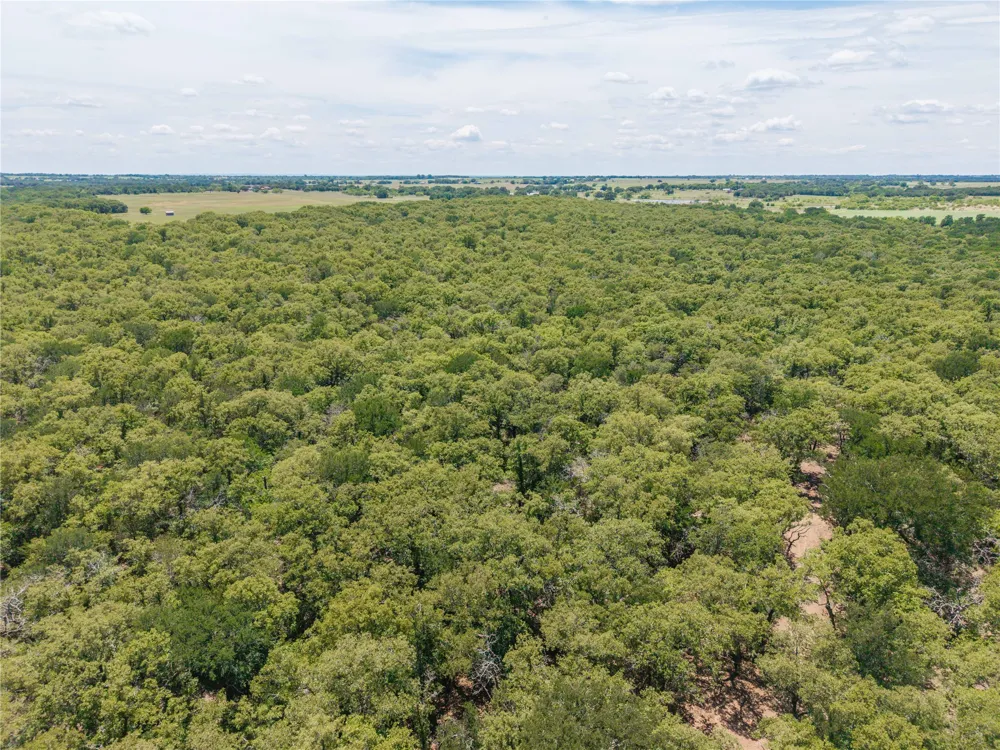 18 Highway 16 De Leon, TX 76444