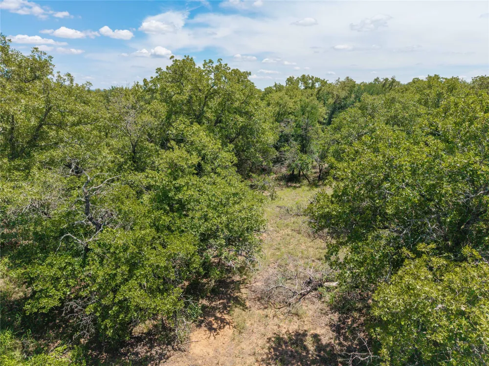 18 Highway 16 De Leon, TX 76444