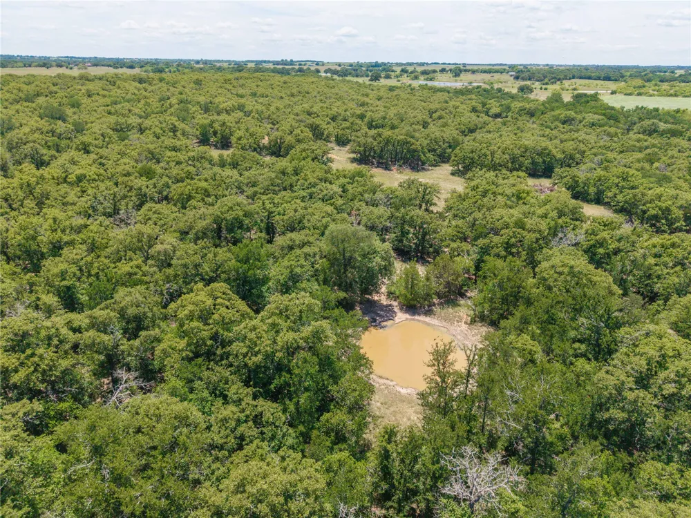 18 Highway 16 De Leon, TX 76444