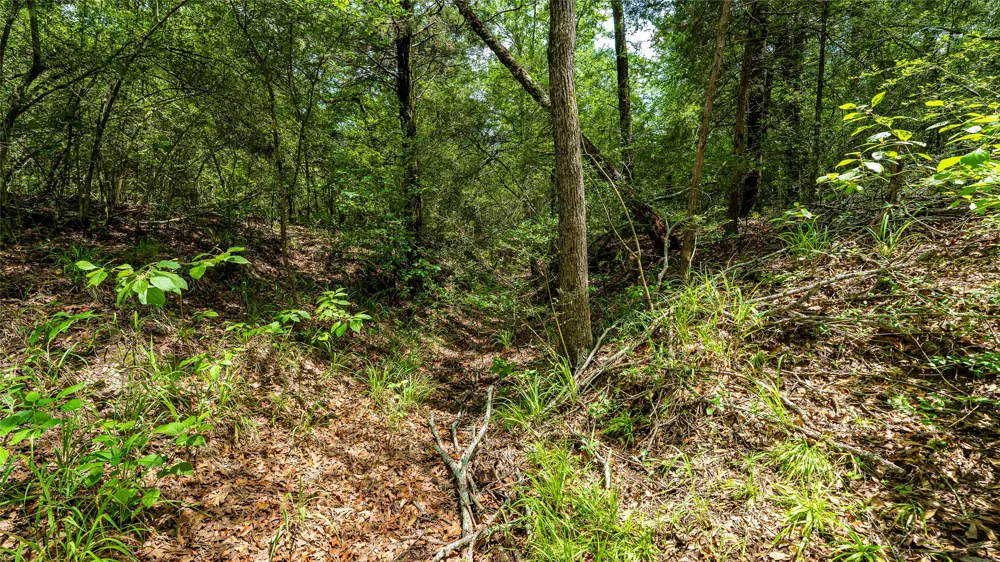 1470 22 Hills Road Gause, TX 77857