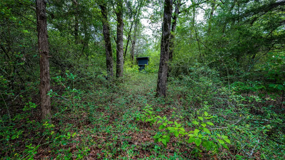 1470 22 Hills Road Gause, TX 77857