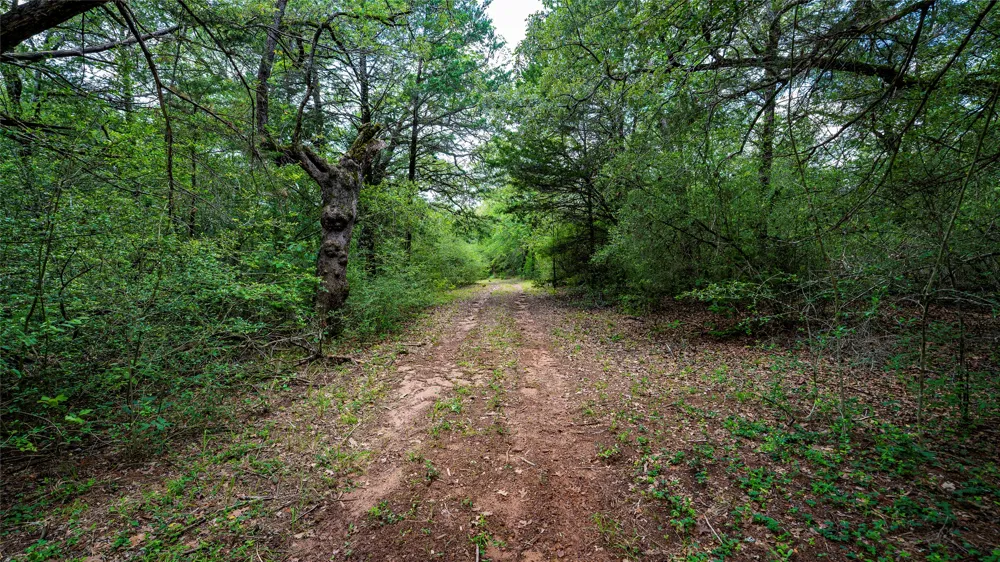 1470 22 Hills Road Gause, TX 77857