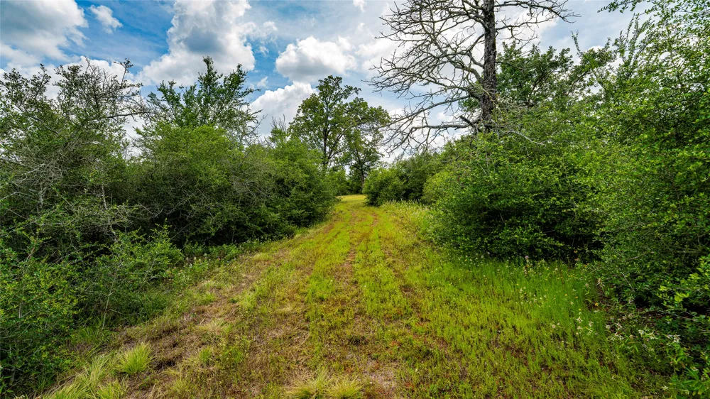 1470 22 Hills Road Gause, TX 77857
