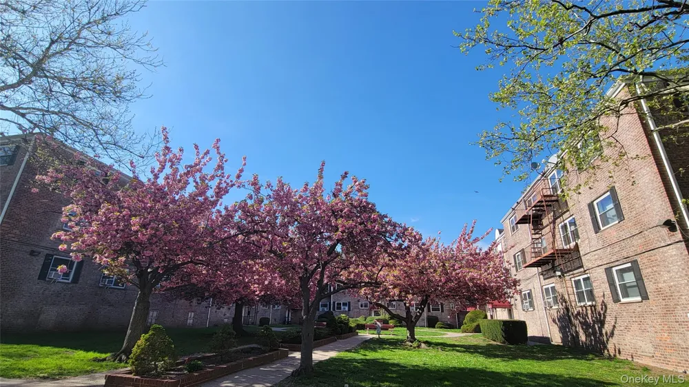 111-09 66 ROAD #3A Forest Hills, NY 11375