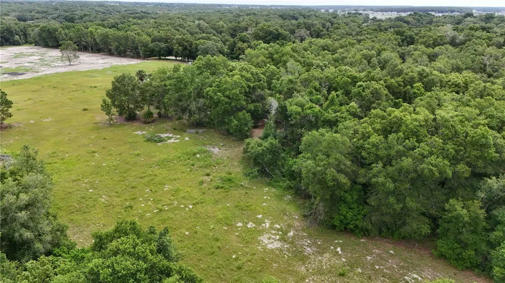 5501 CEMETERY & SADLER ROADS Mount Dora, FL 32757