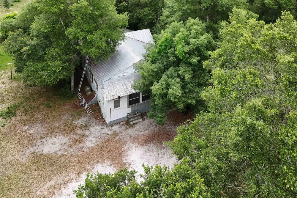 5501 CEMETERY & SADLER ROADS Mount Dora, FL 32757
