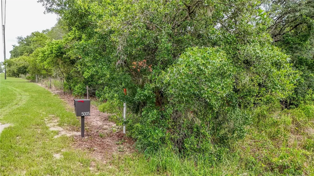 5501 CEMETERY & SADLER ROADS Mount Dora, FL 32757