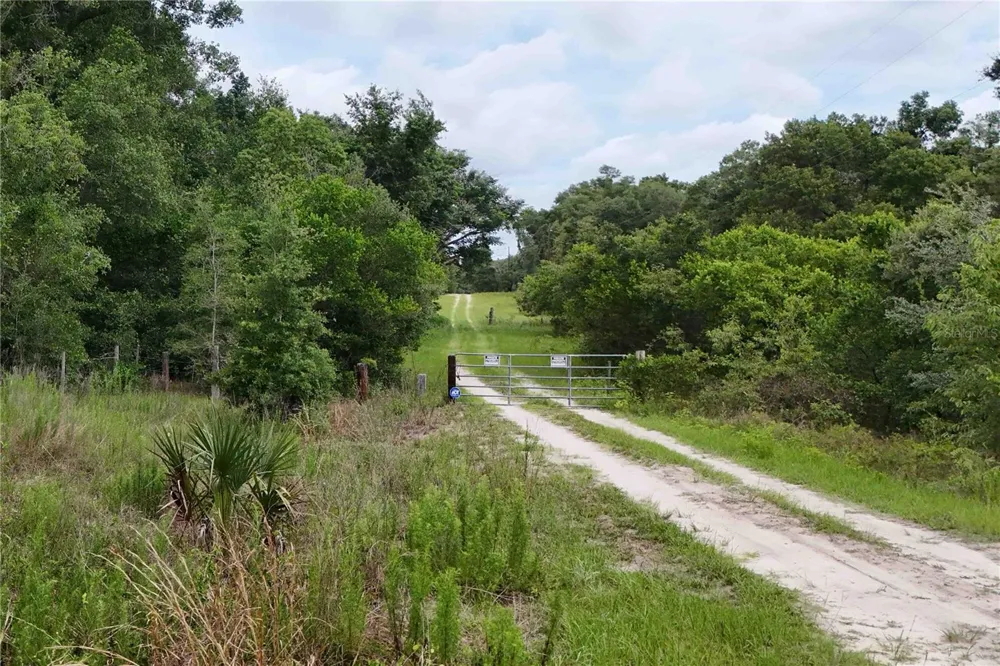 5501 CEMETERY & SADLER ROADS Mount Dora, FL 32757