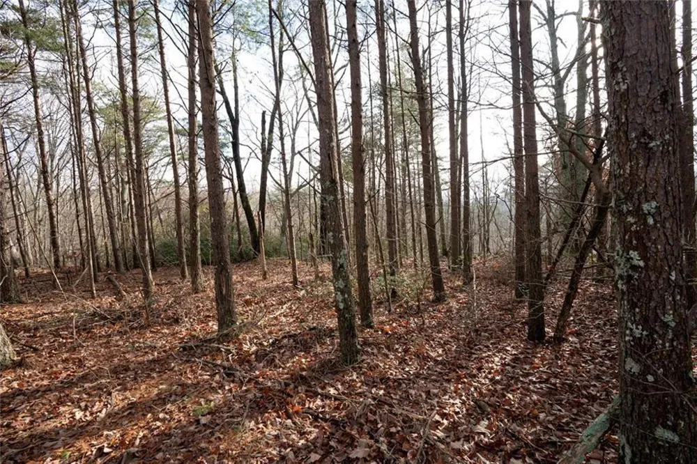 1 Amber Court Jasper, GA 30143