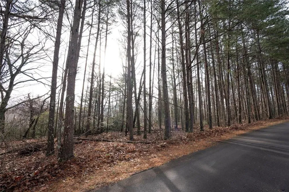 1 Amber Court Jasper, GA 30143