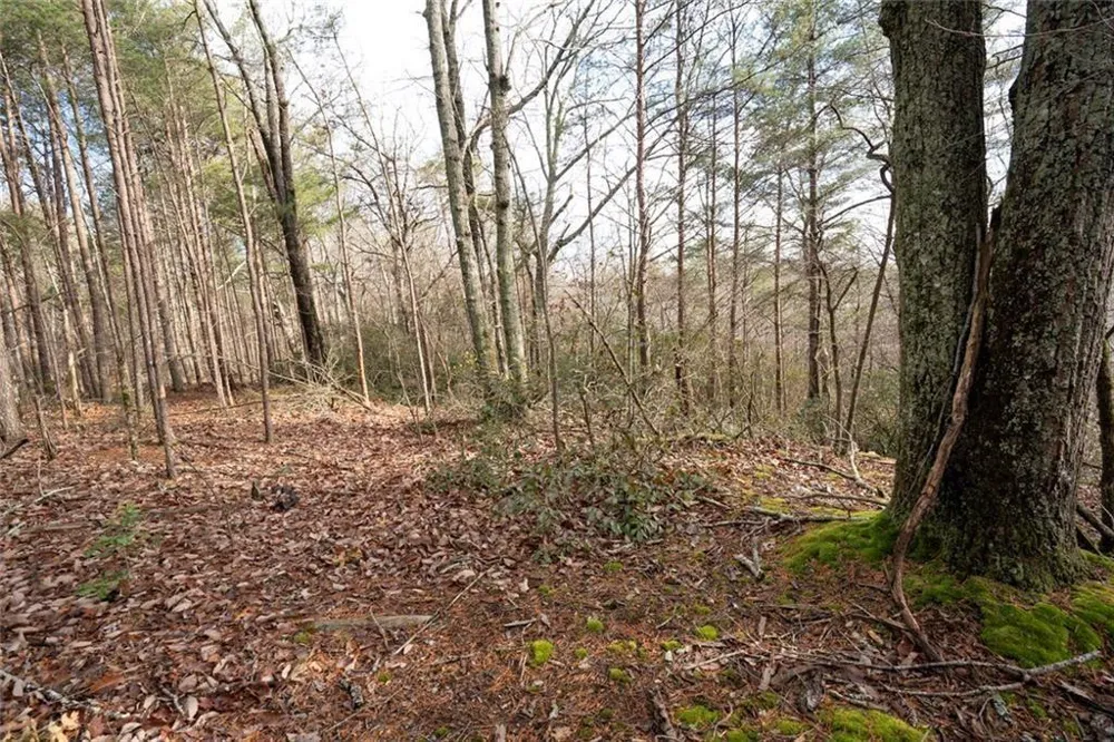 1 Amber Court Jasper, GA 30143