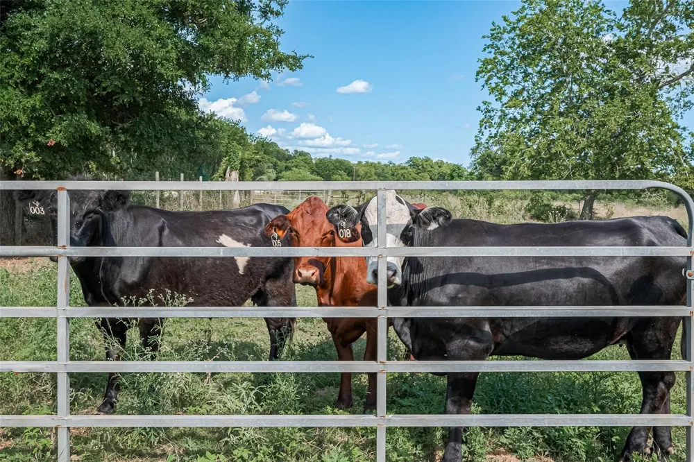 2511 Hartwell Road Pattison, TX 77423