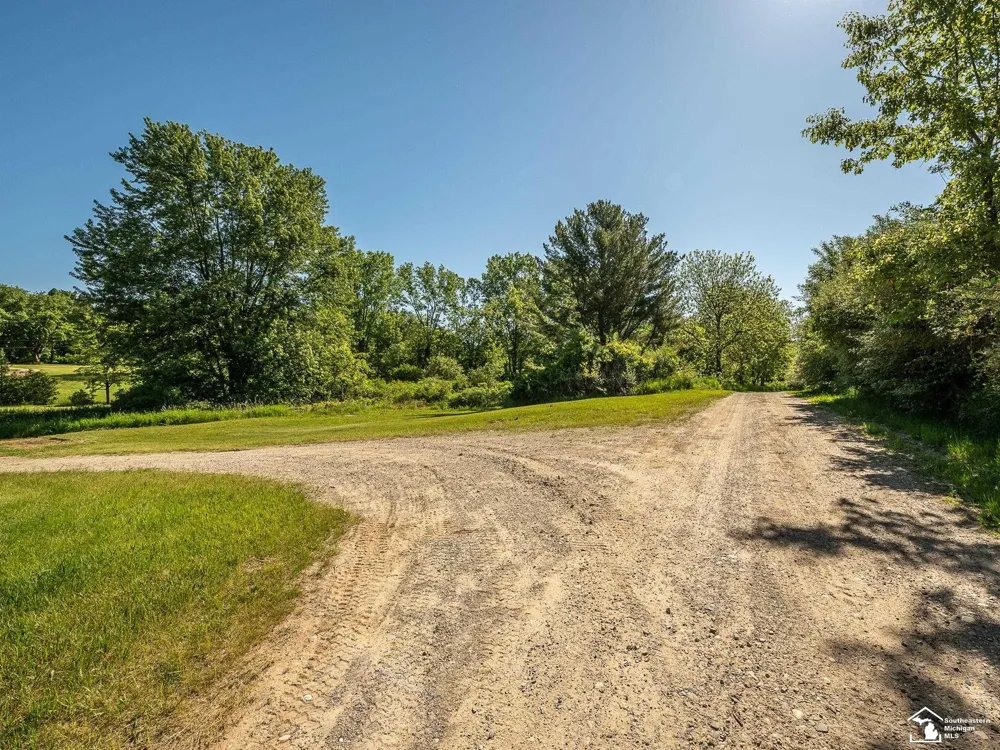 123 S Freer Road Lima Township, MI 48118