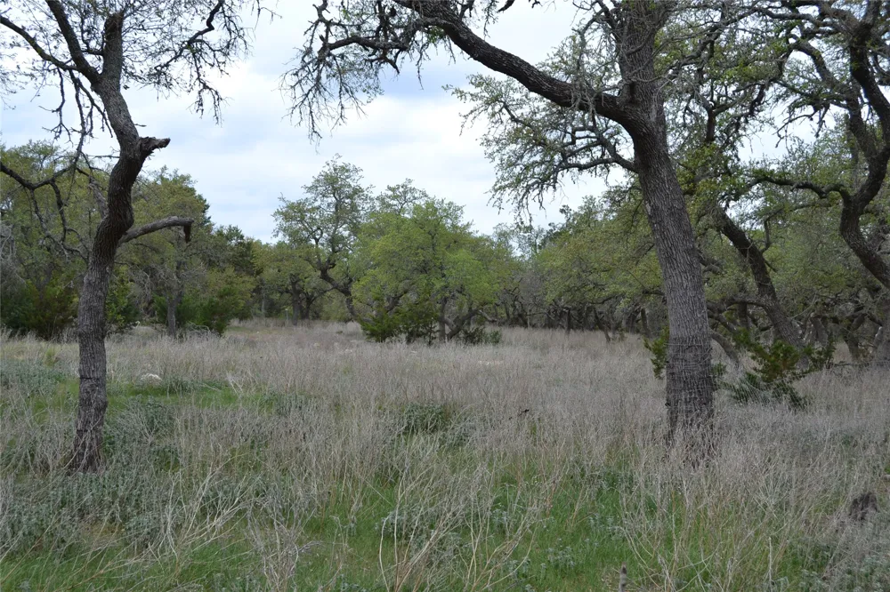 4016 McGregor Ln Lot 1-2 Dripping Springs, TX 78620