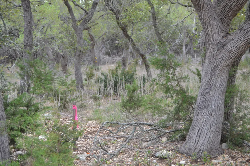 4016 McGregor Ln Lot 1-2 Dripping Springs, TX 78620