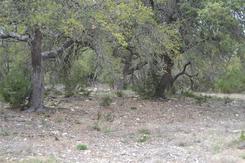 4016 McGregor Ln Lot 1-2 Dripping Springs, TX 78620