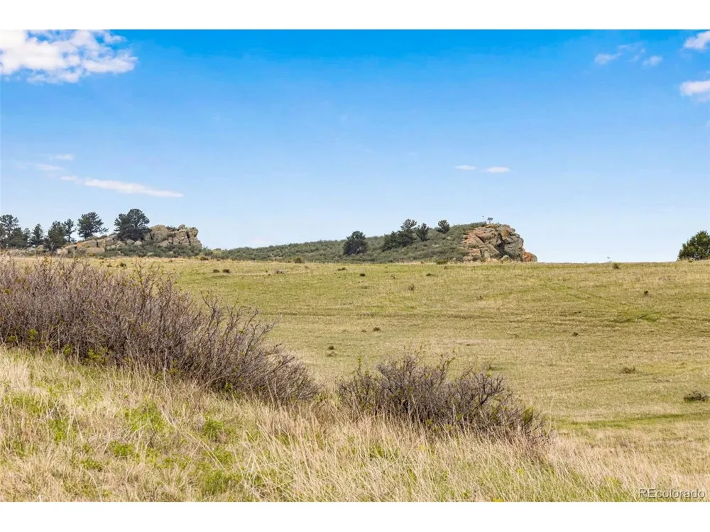4753 Wild Horizon Drive Laporte, CO 80535