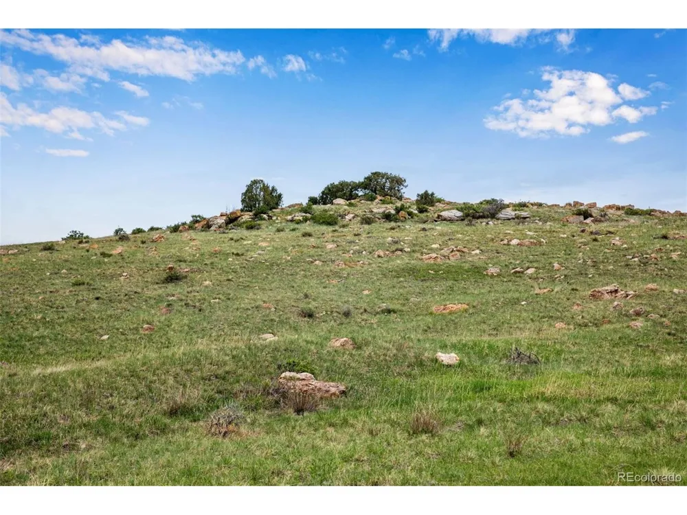 4753 Wild Horizon Drive Laporte, CO 80535