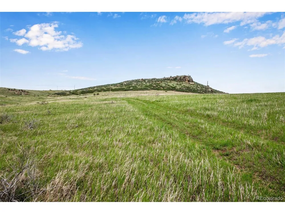 4753 Wild Horizon Drive Laporte, CO 80535