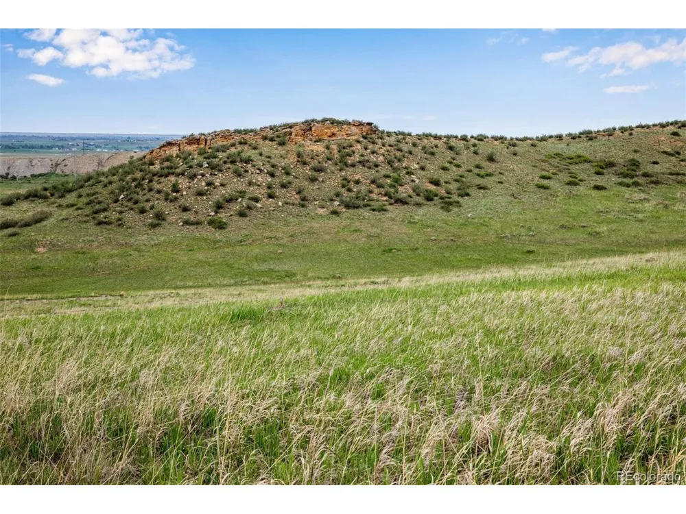 4753 Wild Horizon Drive Laporte, CO 80535