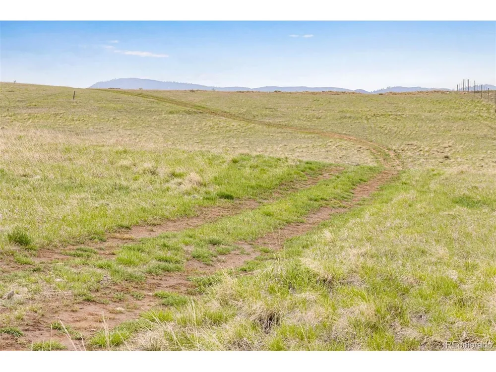 4753 Wild Horizon Drive Laporte, CO 80535