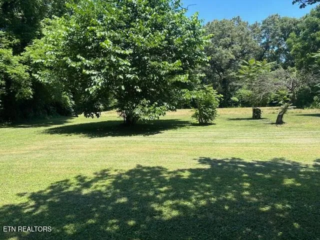 194 Patton Lane Pikeville, TN 37367