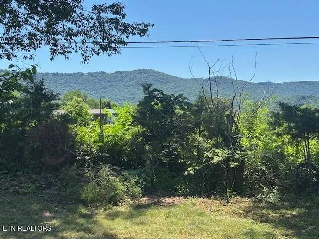 194 Patton Lane Pikeville, TN 37367