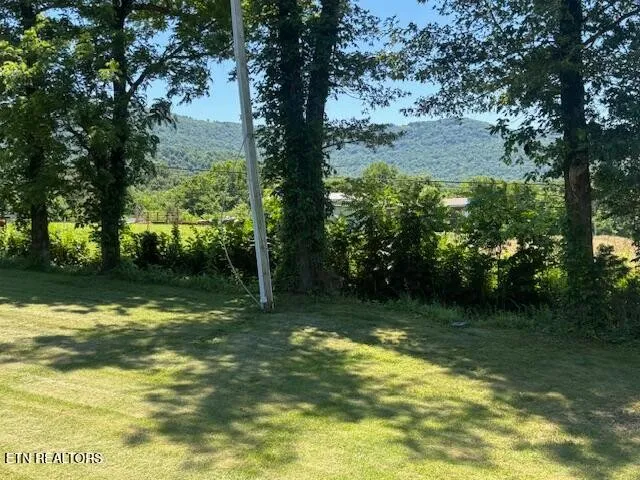 194 Patton Lane Pikeville, TN 37367