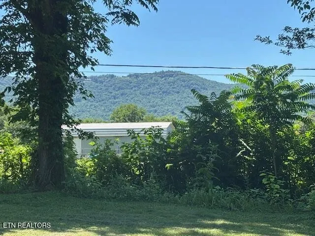 194 Patton Lane Pikeville, TN 37367