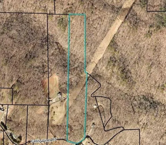 0 Falling Pines Road Dahlonega, GA 30533