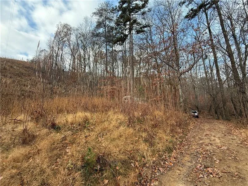 0 Falling Pines Road Dahlonega, GA 30533