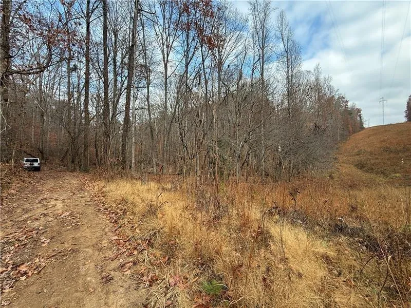 0 Falling Pines Road Dahlonega, GA 30533