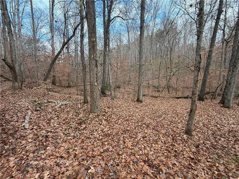 0 Falling Pines Road Dahlonega, GA 30533