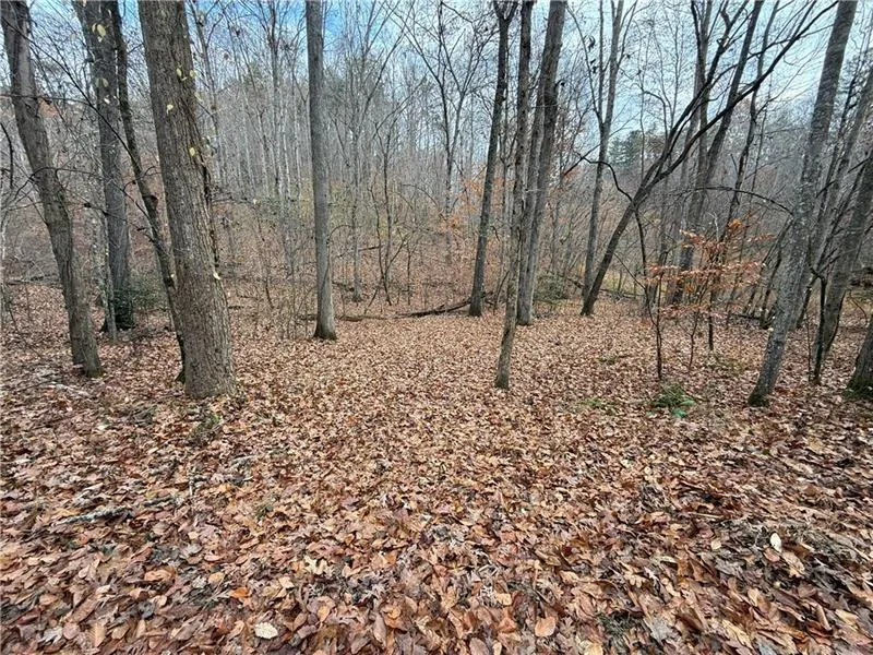 0 Falling Pines Road Dahlonega, GA 30533
