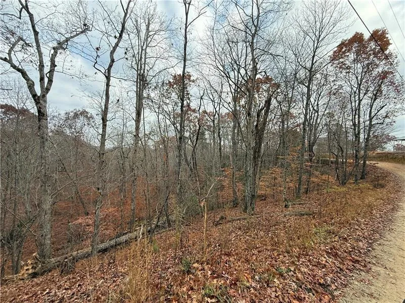 0 Falling Pines Road Dahlonega, GA 30533
